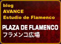 PLAZA DE FLAMENCO / フラメンコ広場